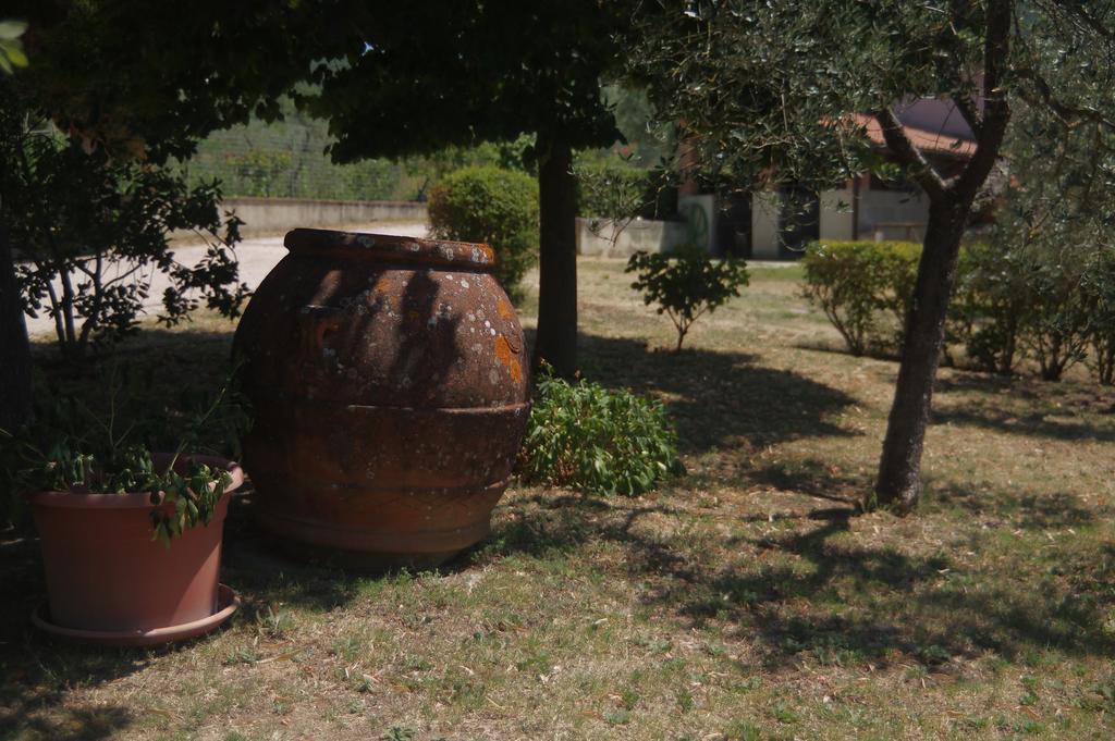 Villa Borgo Buciardella Baschi Exterior foto